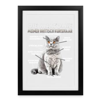 T britannique à cheveux court | Propriétaires de chats Cats British - Affiche encadrée (27 × 37 cm) - noir - Devant