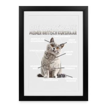 T britannique à cheveux court | Porte-chat T Short britannique - Affiche encadrée (27 × 37 cm) - noir - Devant