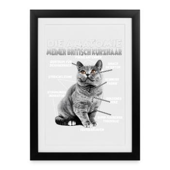 British Shorthair Gift Cats Fan Gift - Framed poster (27 × 37 cm) - black - Front