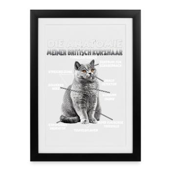 British Shorthair T | British Shorthair Cats - Framed poster (27 × 37 cm) - black - Front