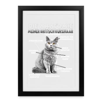 Britisch Kurzhaar Geschenk Katzenbesitzer Geschenk - Gerahmtes Poster (27 × 37 cm) - Schwarz - Vorne