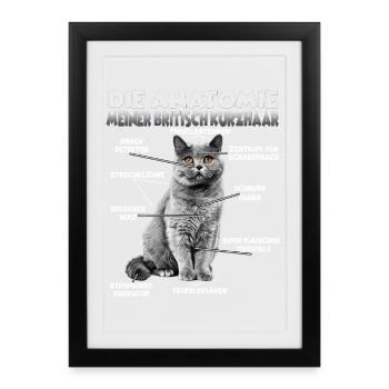 British Shorthair Gift for Cat Lover - Framed poster (27 × 37 cm) - black - Front