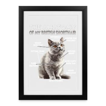 Britisch Kurzhaar T | Katzen Fan Katzen British  - Gerahmtes Poster (27 × 37 cm) - Schwarz - Vorne