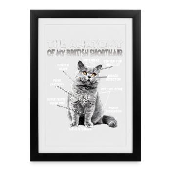 Cute Cats Women Motif Cats Ladies British - Framed poster (27 × 37 cm) - black - Front