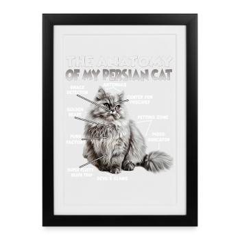 Persian Cat T | Persian Cat Cats Persian Cats - Framed poster (27 × 37 cm) - black - Front