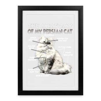 Persian Cats T | Persian Cat Cats Persian Cat - Framed poster (27 × 37 cm) - black - Front
