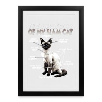 Siamese Cats T | Siamese Cat Cats Siamese Cats - Framed poster (27 × 37 cm) - black - Front
