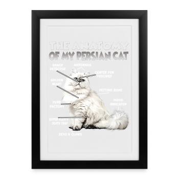 Dictons de chats Amateur de chats Cadeau Fan de chat - Affiche encadrée (27 × 37 cm) - noir - Devant