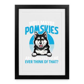 Pomsky Peluche Propriétaire de lit pour chien Gâteries pour chien Lover - Affiche encadrée (27 × 37 cm) - noir - Devant