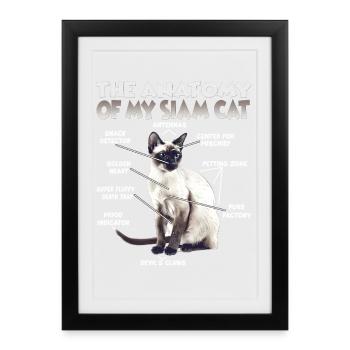 Chats siamois T | Tigre de la maison du chat et du chat siamois - Affiche encadrée (27 × 37 cm) - noir - Devant