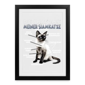 Siamese Cats T | Siamese Cat Cats Siamese Cat Owner - Framed poster (27 × 37 cm) - black - Front