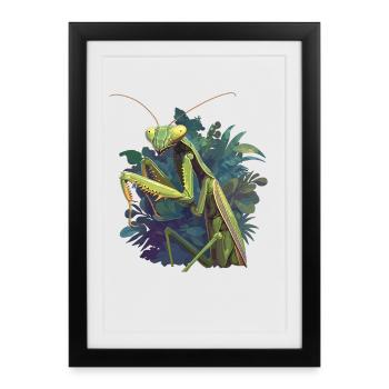 Mantes religieuses Mantes religieuses - Affiche encadrée (27 × 37 cm) - noir - Devant