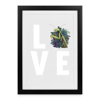 Praying mantises Praying mantis - Framed poster (27 × 37 cm) - black - Front