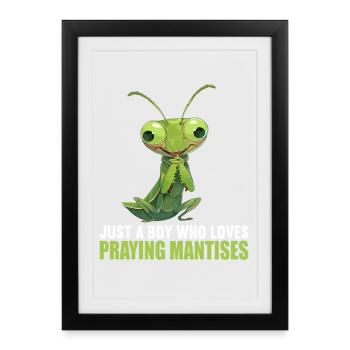 Mantes religieuses Mantes religieuses - Affiche encadrée (27 × 37 cm) - noir - Devant