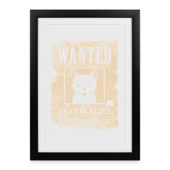 Recherché Mort & Vivant Le Chat de Schrödinger - Affiche encadrée (27 × 37 cm) - noir - Devant