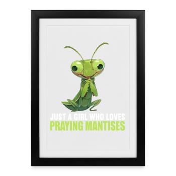 Praying mantises Praying mantis - Framed poster (27 × 37 cm) - black - Front