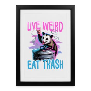 Drôle d’opossum - Affiche encadrée (27 × 37 cm) - noir - Devant