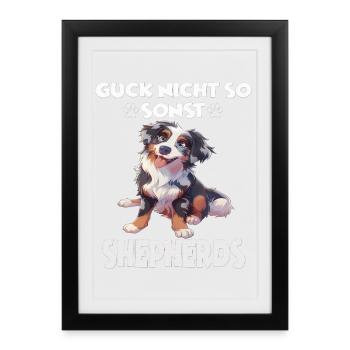 Berger australien propriétaire de chien en promenade australienne - Affiche encadrée (27 × 37 cm) - noir - Devant