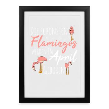 April Birthday Flamingo Saying Funny - Framed poster (27 × 37 cm) - black - Front