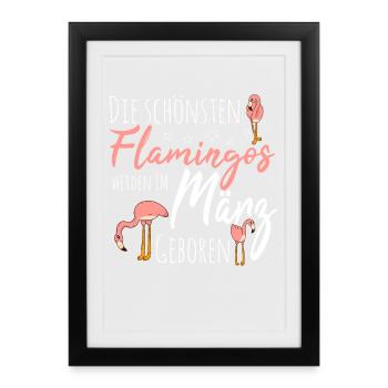 Anniversaire de mars, Flamingo disant drôle - Affiche encadrée (27 × 37 cm) - noir - Devant