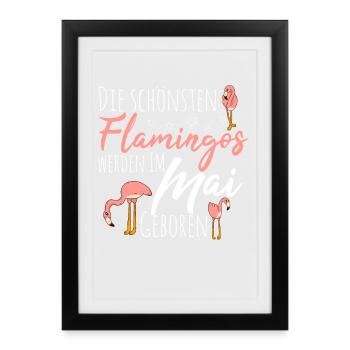 May Birthday Flamingo Saying Funny - Framed poster (27 × 37 cm) - black - Front