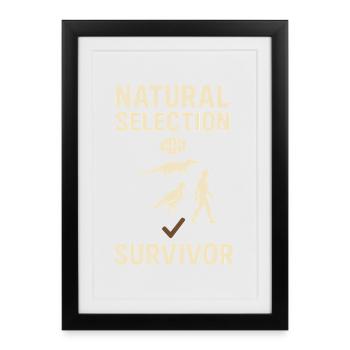 Charles Darwin Gift Natural - Framed poster (27 × 37 cm) - black - Front