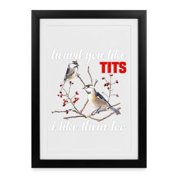 Mésange amoureuse des peluches Ornithologue Ornithologue Ornithologue - Affiche encadrée (27 × 37 cm) - noir - Devant