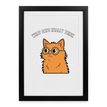 What Cats Really Think Funny Math Saying - Framed poster (27 × 37 cm) - black - Front