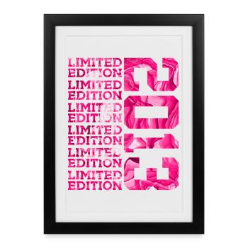 LIMITED EDITION 2013 13 YEARS PINK 13TH BIRTHDAY - Framed poster (27 × 37 cm) - black - Front