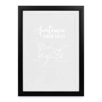 Anatomie d’un chat – tout est duveteux - Affiche encadrée (27 × 37 cm) - noir - Devant