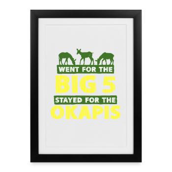 Okapi Animal - Framed poster (27 × 37 cm) - black - Front