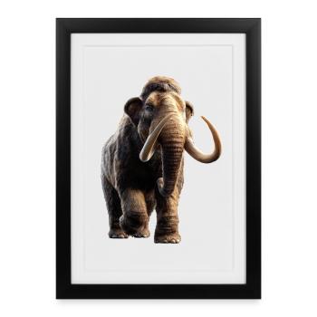 Mammouth Mammouth Laineux Âge glaciaire Mammouths Mammouth Doux - Affiche encadrée (27 × 37 cm) - noir - Devant