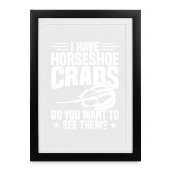 Peluche de crabe fer à cheval chélicérate - Affiche encadrée (27 × 37 cm) - noir - Devant