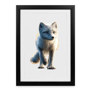 Renard arctique Renard des neiges Renard des glaces Renard blanc doux - Affiche encadrée (27 × 37 cm) - noir - Devant