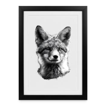 Renard arctique Renard des neiges Renard des glaces Renard blanc doux - Affiche encadrée (27 × 37 cm) - noir - Devant