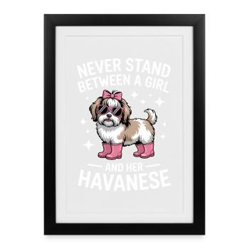 Dictons havanais Fille drôle Havanese Cadeau havanais - Affiche encadrée (27 × 37 cm) - noir - Devant