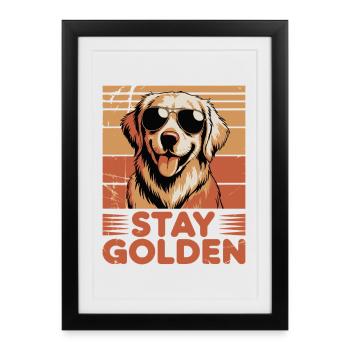 Golden Labrador Retriever Stay Golden - Affiche encadrée (27 × 37 cm) - noir - Devant
