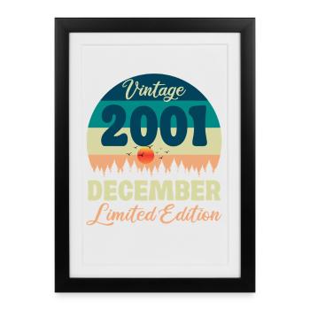 Anniversaire Décembre 2001 Cadeau D'anniversaire  - Affiche encadrée (27 × 37 cm) - noir - Devant