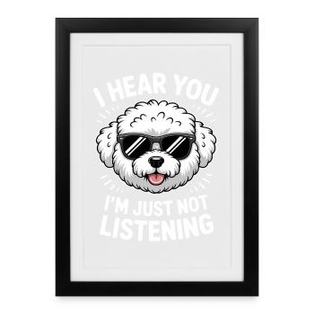 Expressions du Bichon Frisé Drôle : Don Bichon Frisé - Affiche encadrée (27 × 37 cm) - noir - Devant