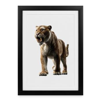 Tigre à dents de sabre Smilodon Grand chat Tigre à dents de sabre - Affiche encadrée (27 × 37 cm) - noir - Devant