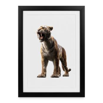 Tigre à dents de sabre Smilodon Grand chat Tigre à dents de sabre - Affiche encadrée (27 × 37 cm) - noir - Devant