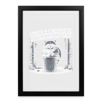 Raccoon Undiagnosed But Something Aint Right - Framed poster (27 × 37 cm) - black - Front