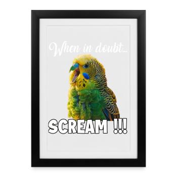 Cadeaux créatifs Bird Friends Perruche - Affiche encadrée (27 × 37 cm) - noir - Devant