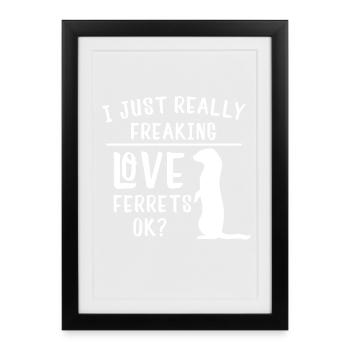 J’adore vraiment les furets OK jeu de mots drôle - Affiche encadrée (27 × 37 cm) - noir - Devant