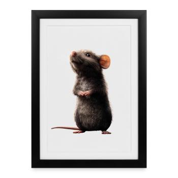 Rat Cute Mouse Rodents Dwarf Mouse Rats Mice - Framed poster (27 × 37 cm) - black - Front