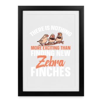 Outils pour les pinsons zébrés Amateur des oiseaux Enclos alimentaires Zèbre - Affiche encadrée (27 × 37 cm) - noir - Devant