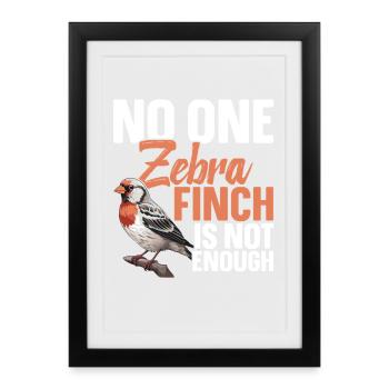  Zebra Finch Enclosure Food Hide Cage for Zebra - Framed poster (27 × 37 cm) - black - Front