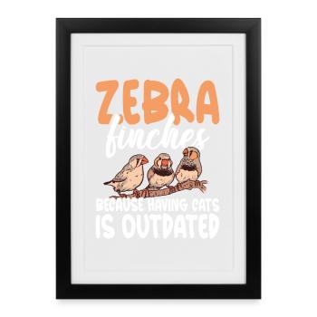 Pinsons zébrés Oiseaux vivants Nourriture Cachette Enclos Oiseau - Affiche encadrée (27 × 37 cm) - noir - Devant