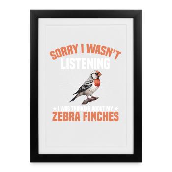 Outils pour propriétaires d’oiseaux, enclos pour cacher nourriture, pinsons zébrés - Affiche encadrée (27 × 37 cm) - noir - Devant