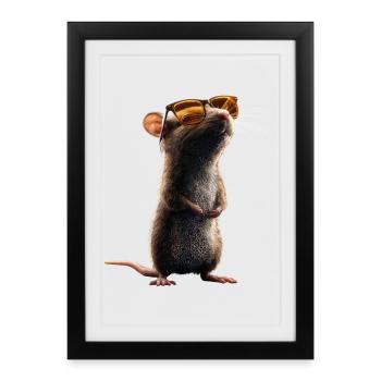 Rat Cute Mouse Rodents Dwarf Mouse Rats Mice - Framed poster (27 × 37 cm) - black - Front